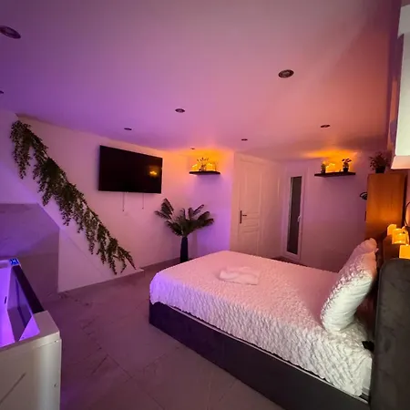 Appartement Le Celeste, Et Privatif Perpignan